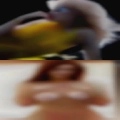 Find horny girls Salem