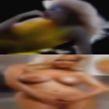 Wives fuck campsite