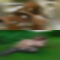 Fuck girls Marionville