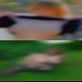 Fuck Waynesville
