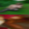 Couples talked into swapping