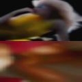 Milfs looking for Albert