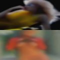 Where find fuck buddy