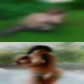 Females masturbating streaming