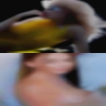 Horny women play