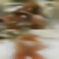 Couples looking for voyeurs