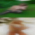 Pussy sex New