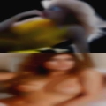 Sex dogging Temecula