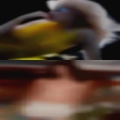 Couples swapping with sex