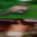 Girls Hobbs, get fucked
