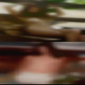 Milfs looking for sex