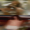 Older couples swapping partners