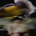 Swingers Amsterdam fuck
