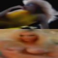 Meet sexual partner Fairmont