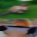 Fuck Winchester