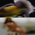 Horny women