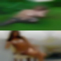 Plaquemine, Louisiana horny sex