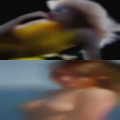 Nude girls from Oskaloosa, Iowa