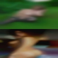 Sex Tampa
