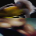 Adult sex club cuckold