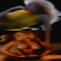 Pussy Angeles