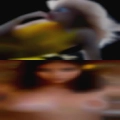 Wives seeking relationships