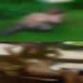 Black men white women swingers