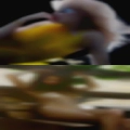 Fucking women from behind