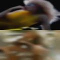 Black couples swapping partners
