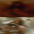 Couples pussy
