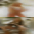 Nude women Hixson