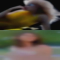 Black couple looking for white