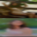 Looking for white bull fuck