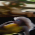 Where sluts