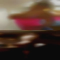Florida swingers internet girls